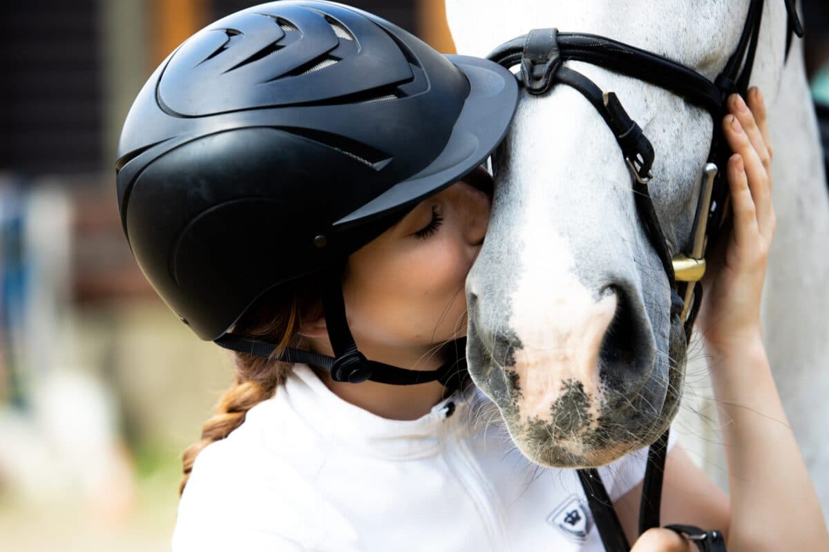 Senior Horse Supplements: How CBD Can Support Your Aging Equine Friend